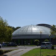 宮崎にある植物園