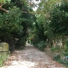 この先に素敵なギャラリーがある