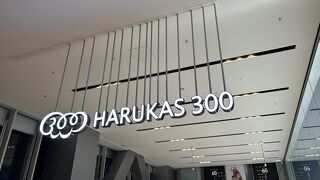 地上３００ｍからの夜景を見てきました