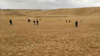 東西２㎞を超える広大な海岸砂丘、日本の地質百選。　