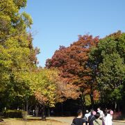 仁徳天皇陵古墳に隣接している公園！