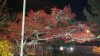 荘厳な光に照らされた世界遺産