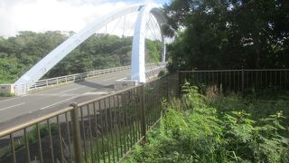 最近発見された