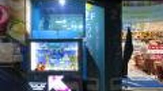 ひと際目立っています