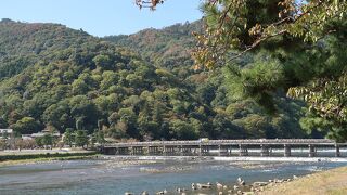 風流な眺めが楽しめる嵐山の象徴