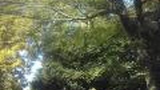 図書館作業の中休み