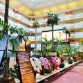 室内プール、ゲーセンもある巨大なホテル　沖縄かりゆしビーチリゾート オーシャンスパ　森の湯を利用