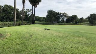 池多めのコースです。