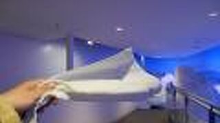 タオルが凍る！