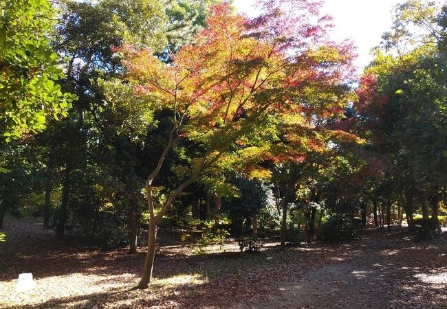 青海中央ふ頭公園 