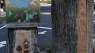 交差点の真ん中