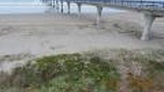 ニュー ブライトン