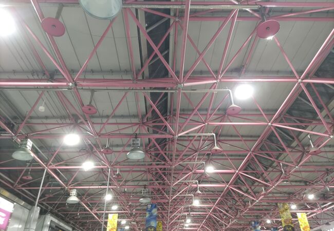 大きな駅でした