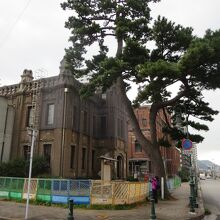 当時の街道にあった松並木は少しだけ残っています。