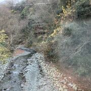 丹沢の清冽な流れ