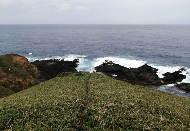 宮古崎 クチコミ アクセス 営業時間 奄美大島 フォートラベル