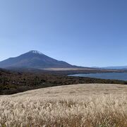 ４輪車の駐車は厳しいですがバイクなら…山中湖と富士山の絶景の穴場