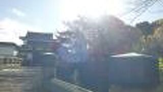 こじんまりしたお城跡です