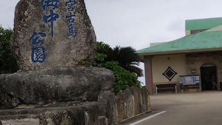 目の前の熱帯魚を眺める海中公園