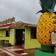 雨が降っていても楽しい！