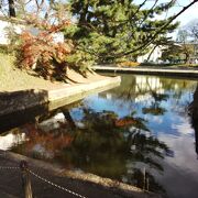 12月でもちょっとした紅葉狩りを楽しめました