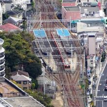 鉢伏山から須磨駅停車中下り阪神車使用直特を撮影