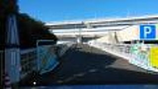 レインボーブリッジを歩いて渡る