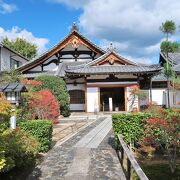 うさぎや猫の日本画が寺宝