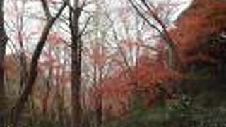 鎌倉の隠れ紅葉スポット