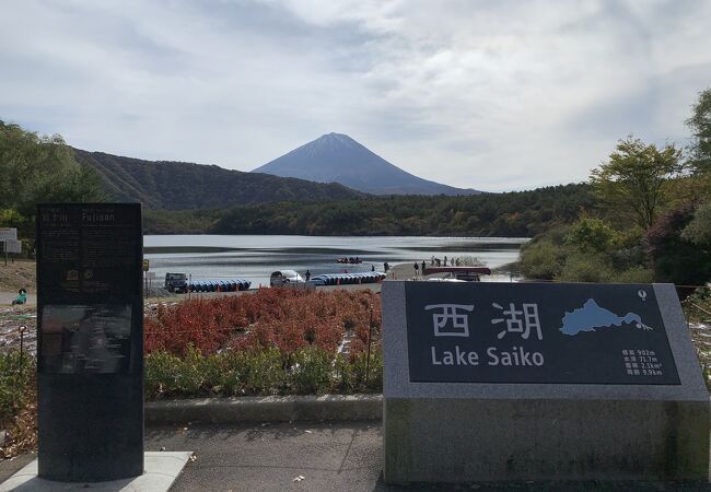 西湖根場浜