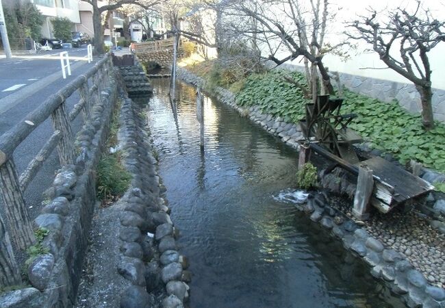 小さな流れに沿って遊歩道が設けられています