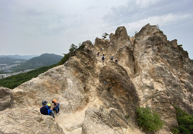 馬の背 (須磨アルプス)