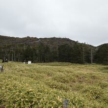 北横岳の坪庭