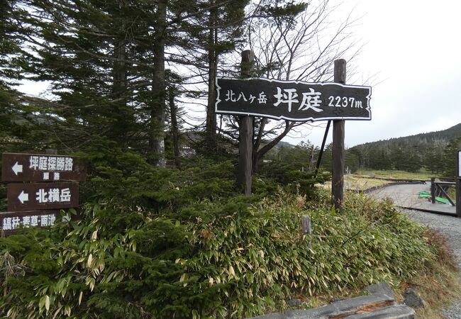 北横岳の坪庭 クチコミ アクセス 営業時間 白樺湖 蓼科 車山 フォートラベル