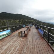 北八ヶ岳ロープウェイ山頂駅に隣接