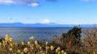 お天気が良ければ富士山も見えます