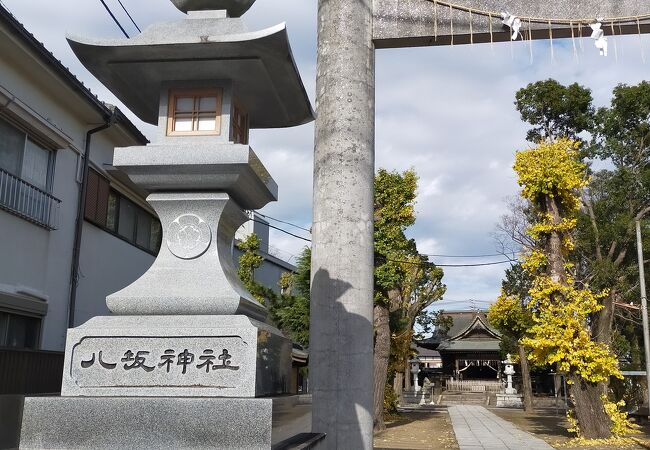 八坂神社