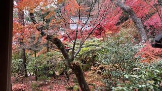 百人一首選定の地「時雨亭跡」を見たかったが、山深い道がこわくてたどり着けず