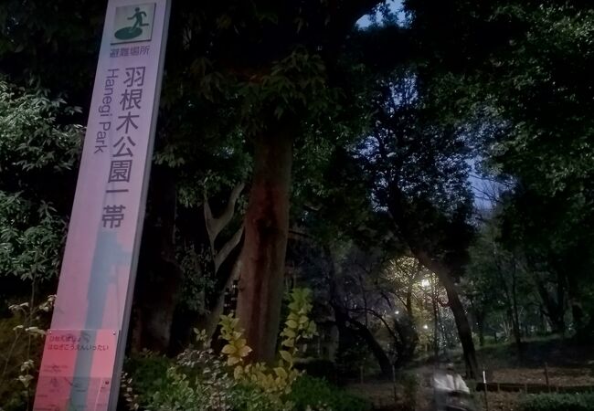 下北沢 明大前のおすすめ観光スポット クチコミ人気ランキングtop フォートラベル 東京