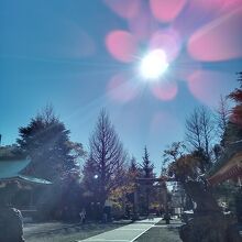 浅草神社(三社さま)