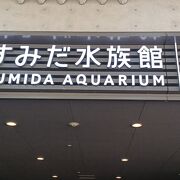 すみだ水族館の入口はいい香りがするよ