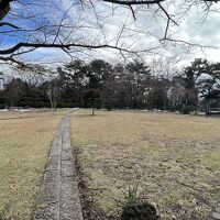 中庭に出て各露天風呂に行きます。野生の鹿がいました。