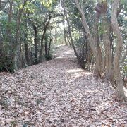 十二所神社から鎌倉霊園までは石段の旧街道が残っている