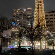 街路樹がうわっている