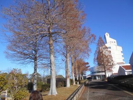 しあわせの村 写真