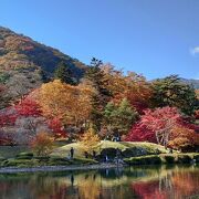 廻遊式日本庭園