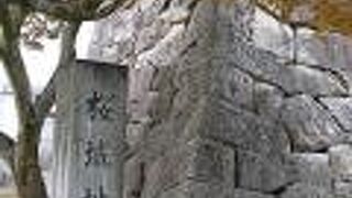 マーケットイベント開催日の朝に訪問