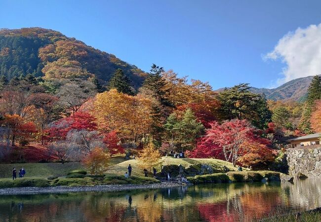 廻遊式日本庭園