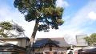 平日の午前11時台、参拝者がほぼ途切れない位の状況でした