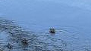 鴨川（賀茂川）